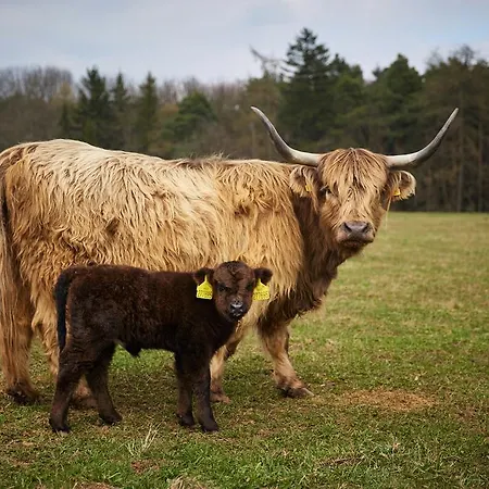 Πανσιόν Ohrada Vísky
