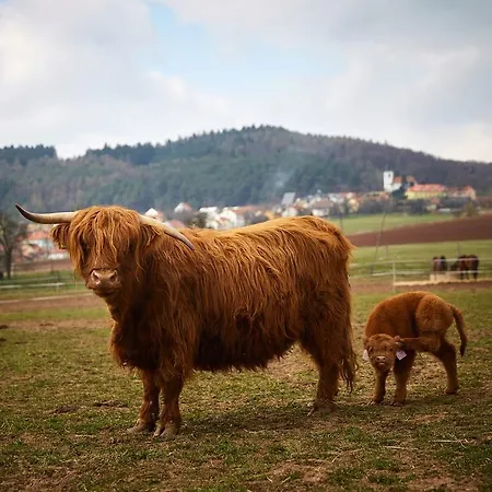 Ohrada Πανσιόν Vísky